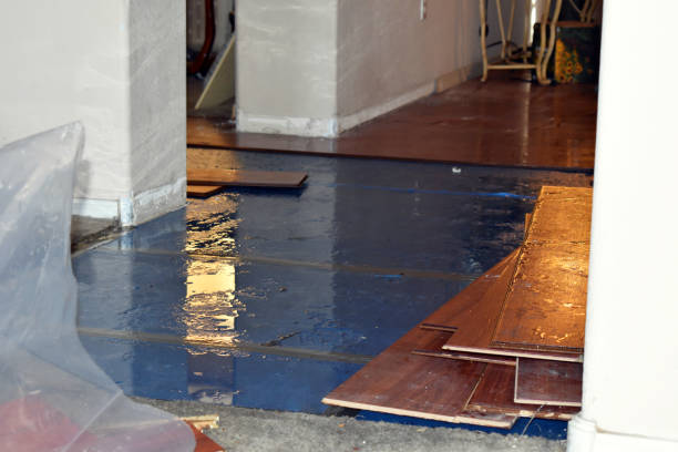Professional Burst Pipe Cleanup technician working in Calverton, MD